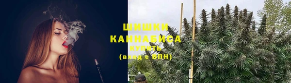 гашик Балахна