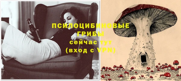 прущая мука Карпинск