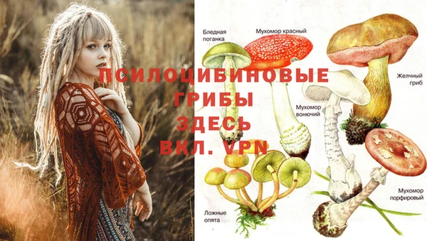 прущая мука Балабаново